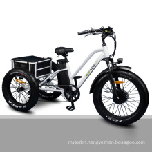 500W Three Wheel Fat Tire Bicycle Electric Cargo Tricycle for Sale